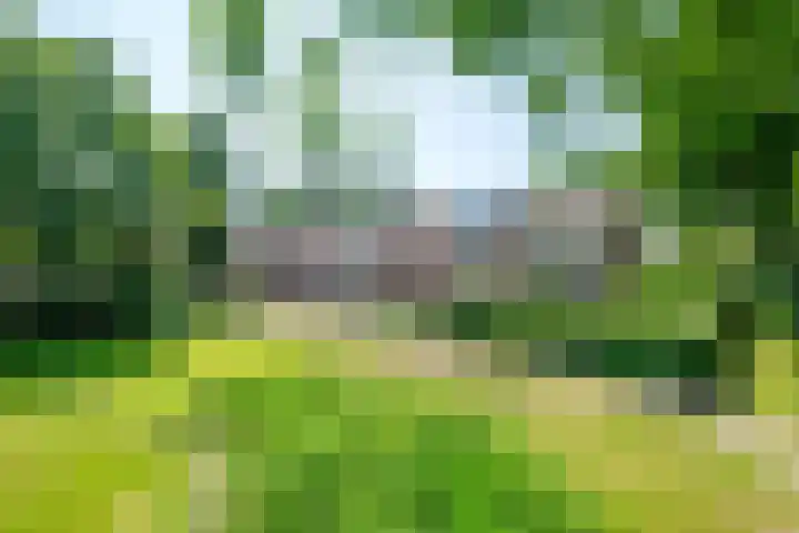De Bonkelaar 28 Balkbrug thumbnail 40