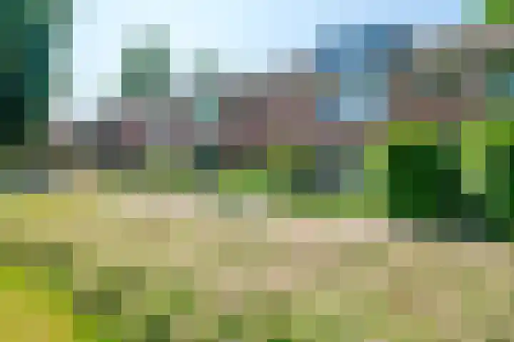 De Bonkelaar 28 Balkbrug thumbnail 41