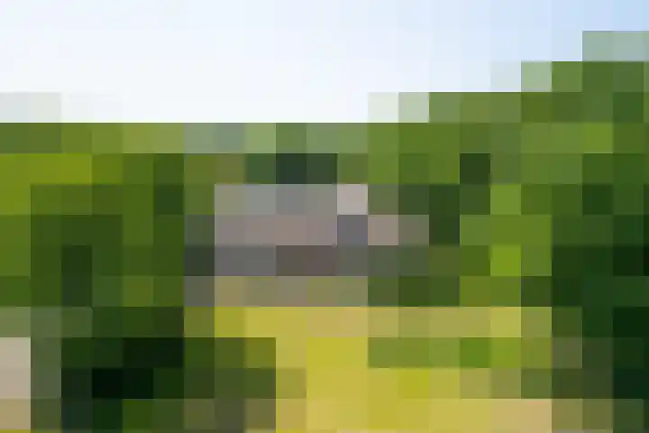 De Bonkelaar 28 Balkbrug thumbnail 42