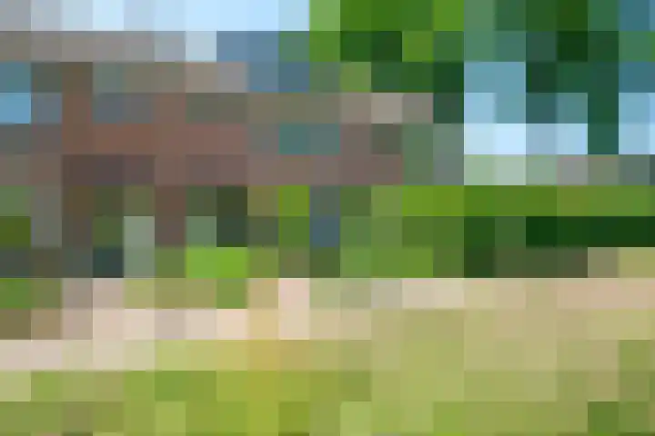 De Bonkelaar 28 Balkbrug thumbnail 47
