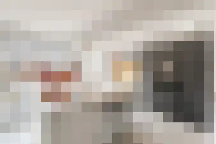 De Bonkelaar 4 Malden thumbnail 10