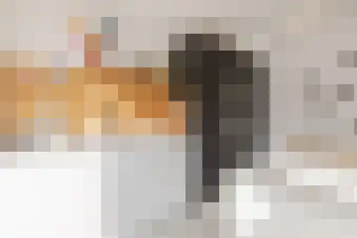 De Bonkelaar 4 Malden thumbnail 12