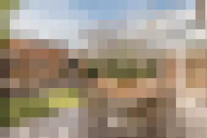 De Bonkelaar 4 Malden thumbnail 16