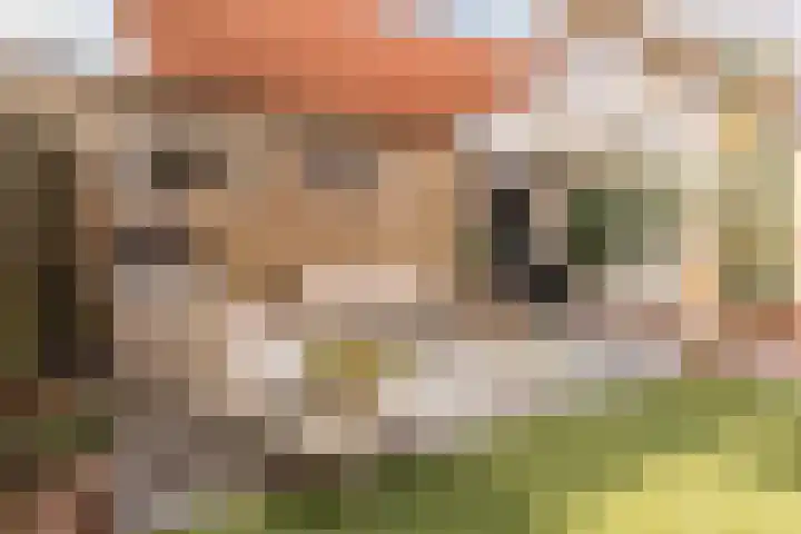De Bonkelaar 4 Malden thumbnail 17