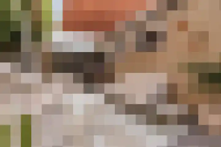 De Bonkelaar 4 Malden thumbnail 18