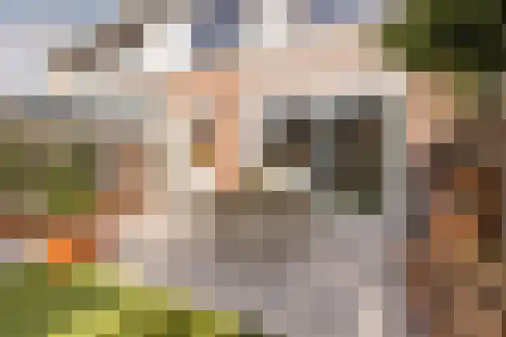 De Bonkelaar 4 Malden thumbnail 19