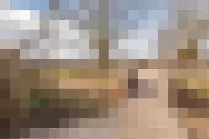 De Bonkelaar 4 Malden thumbnail 58