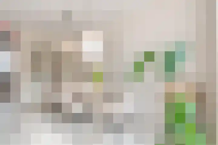 De Bonkelaar 4 Malden thumbnail 8