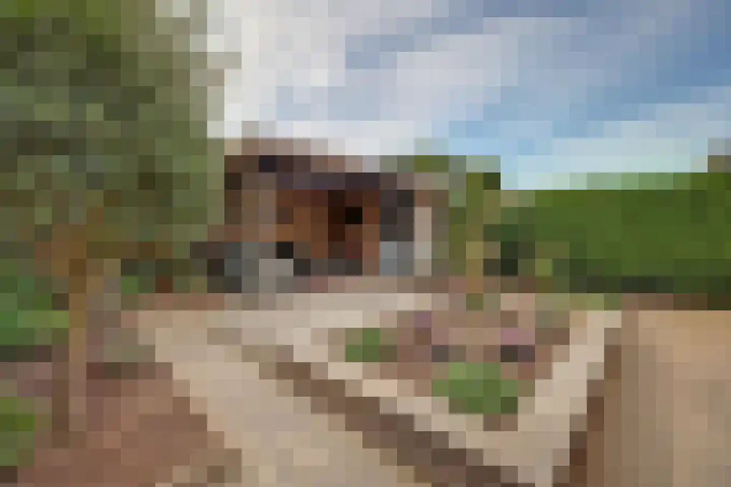 De Bonkelaar 41 Gendt thumbnail 22