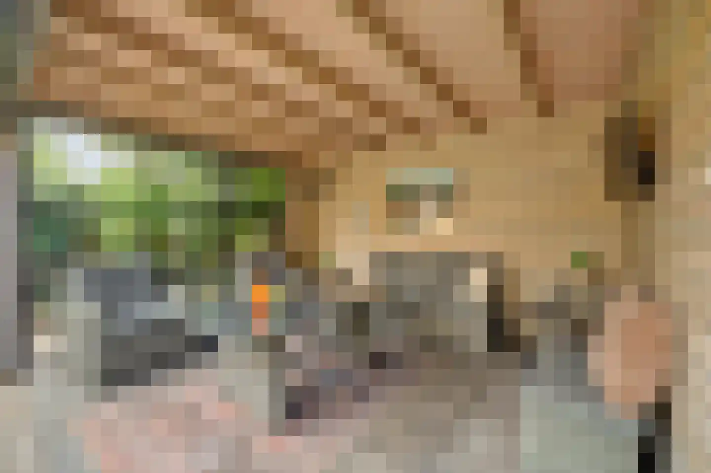 De Bonkelaar 41 Gendt thumbnail 23
