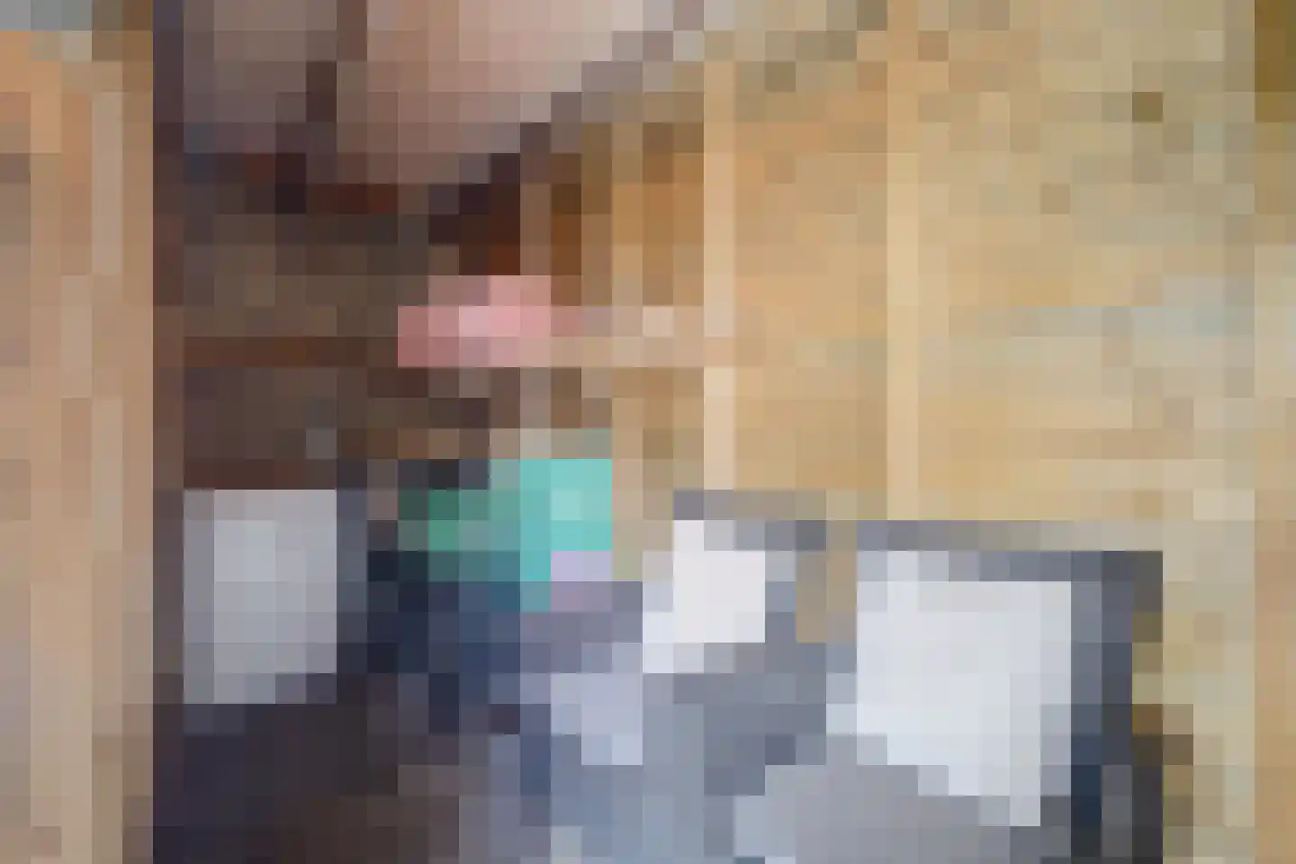De Bonkelaar 41 Gendt thumbnail 26
