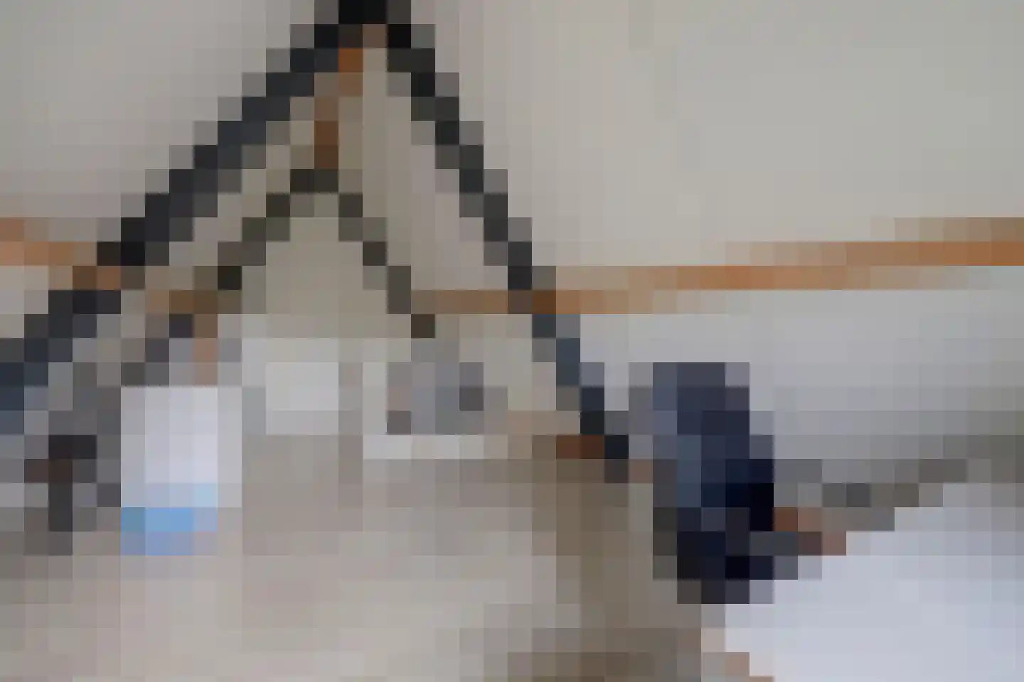 De Bonkelaar 41 Gendt thumbnail 40