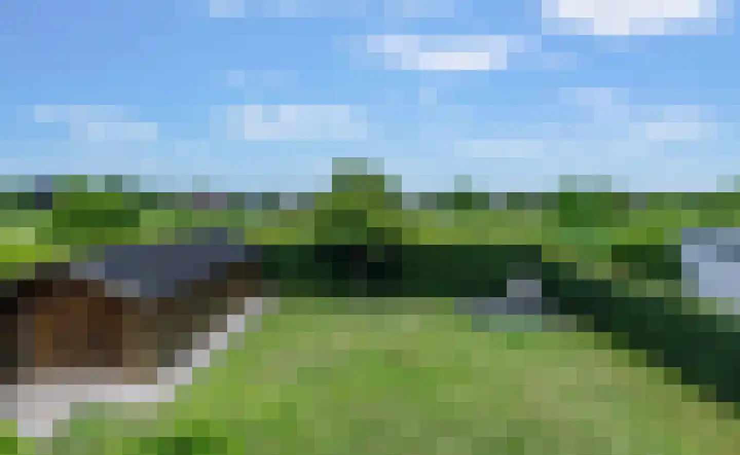 De Bonkelaar 54 Gendt thumbnail 23