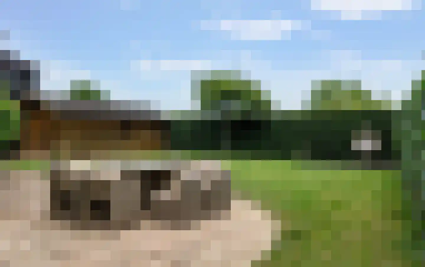 De Bonkelaar 54 Gendt thumbnail 24
