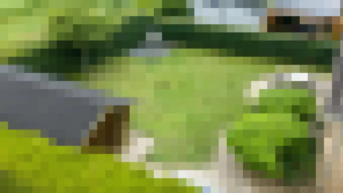 De Bonkelaar 54 Gendt thumbnail 30