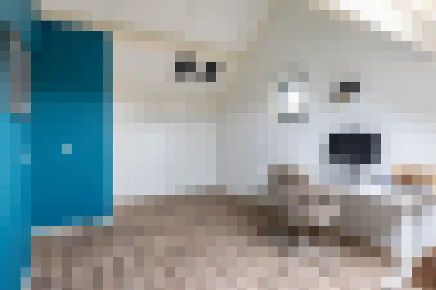 De Bonkelaar 54 Gendt thumbnail 37