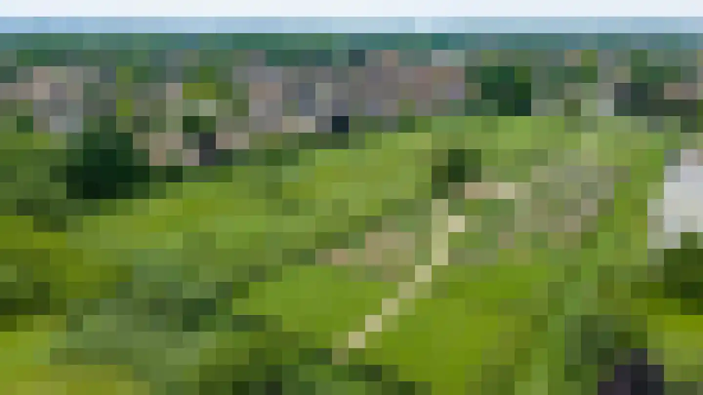 De Bonkelaar 54 Gendt thumbnail 48