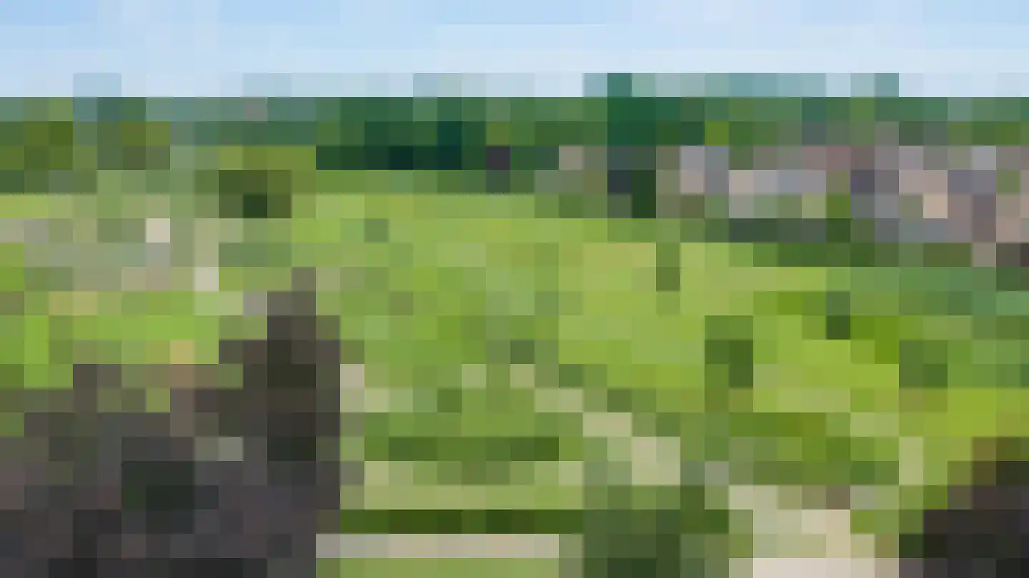 De Bonkelaar 54 Gendt thumbnail 49