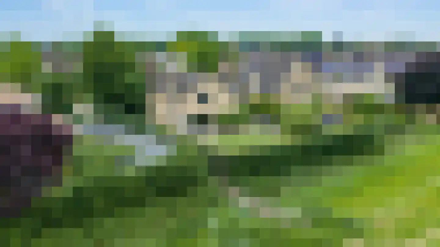 De Bonkelaar 54 Gendt thumbnail 52