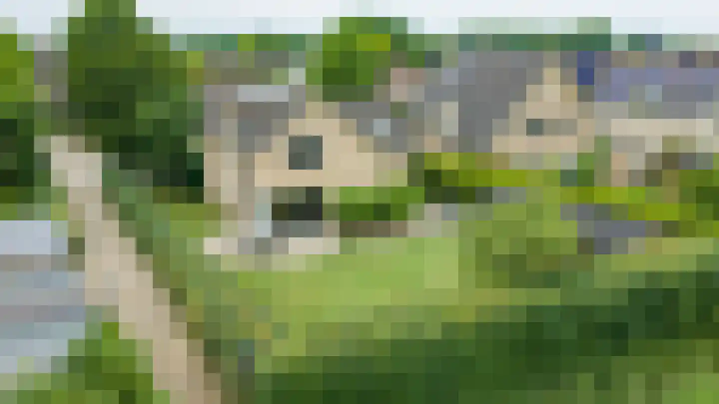 De Bonkelaar 54 Gendt thumbnail 53