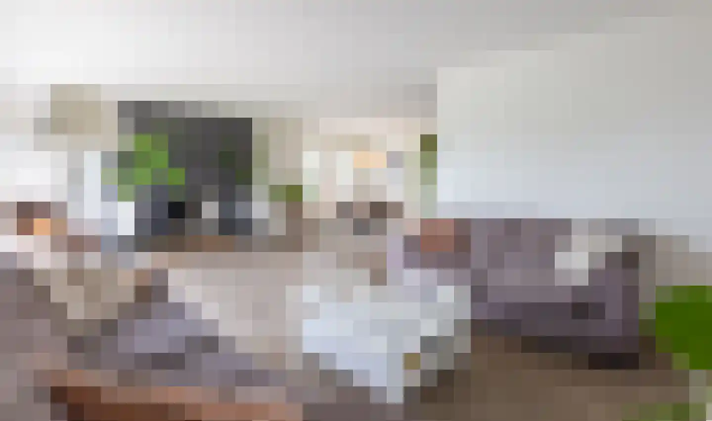 De Bonkelaar 54 Gendt thumbnail 9