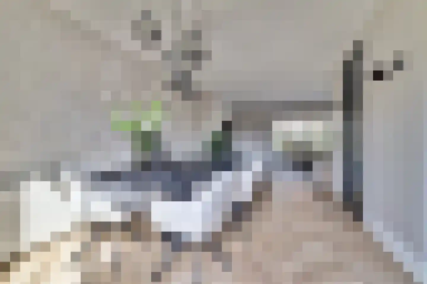 De Bonkelaar 57 Gendt thumbnail 19