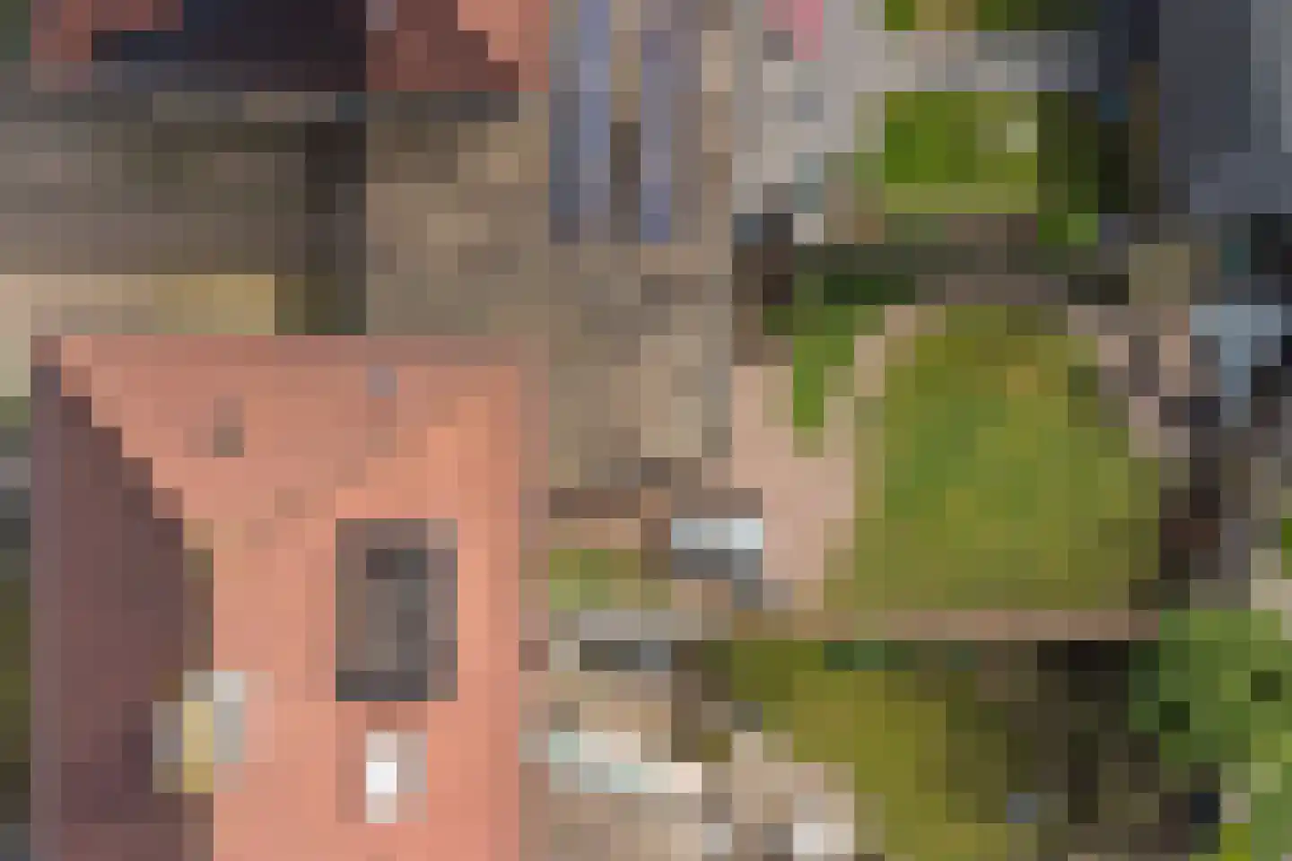 De Bonkelaar 57 Gendt thumbnail 42