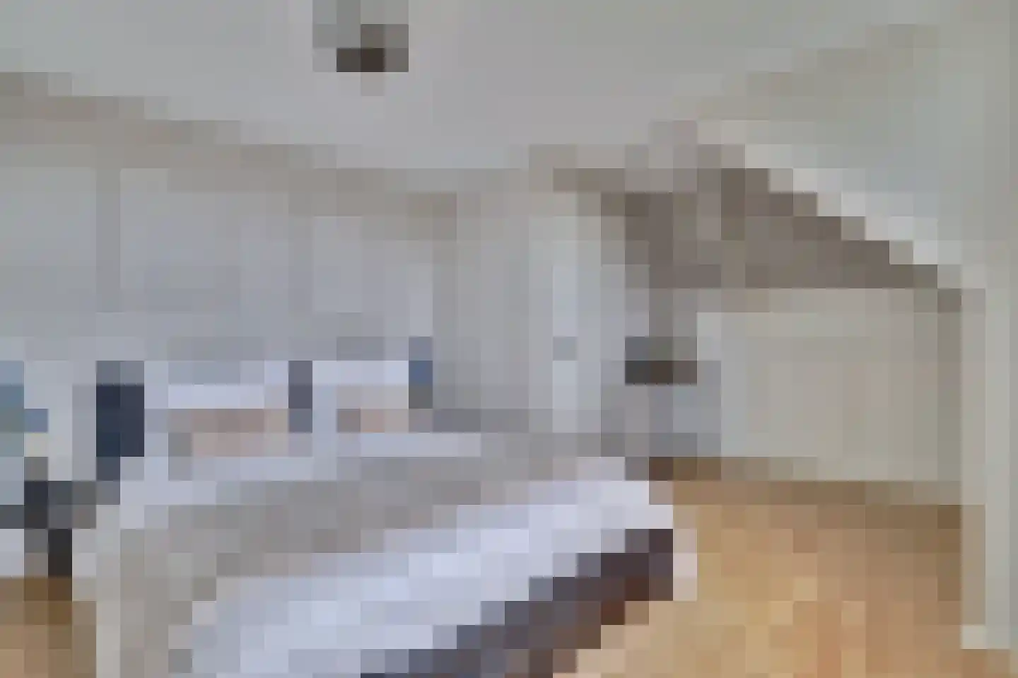 De Bonkelaar 57 Gendt thumbnail 64