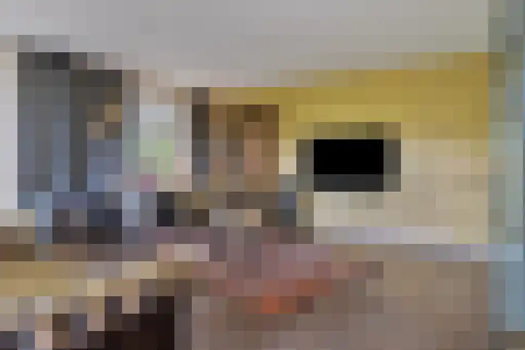 De Bonkelaar 81 Gendt thumbnail 14