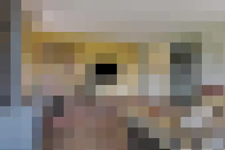 De Bonkelaar 81 Gendt thumbnail 15
