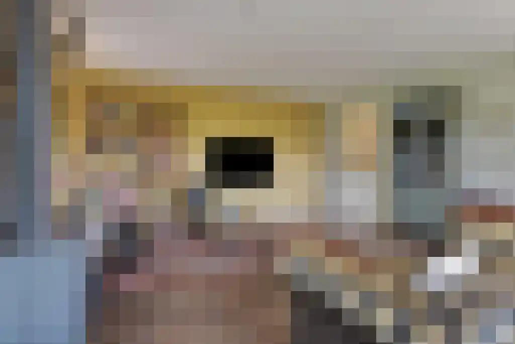 De Bonkelaar 81 Gendt thumbnail 15