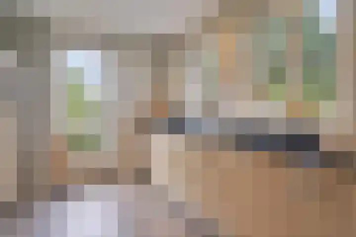 De Bonkelaar 81 Gendt thumbnail 21