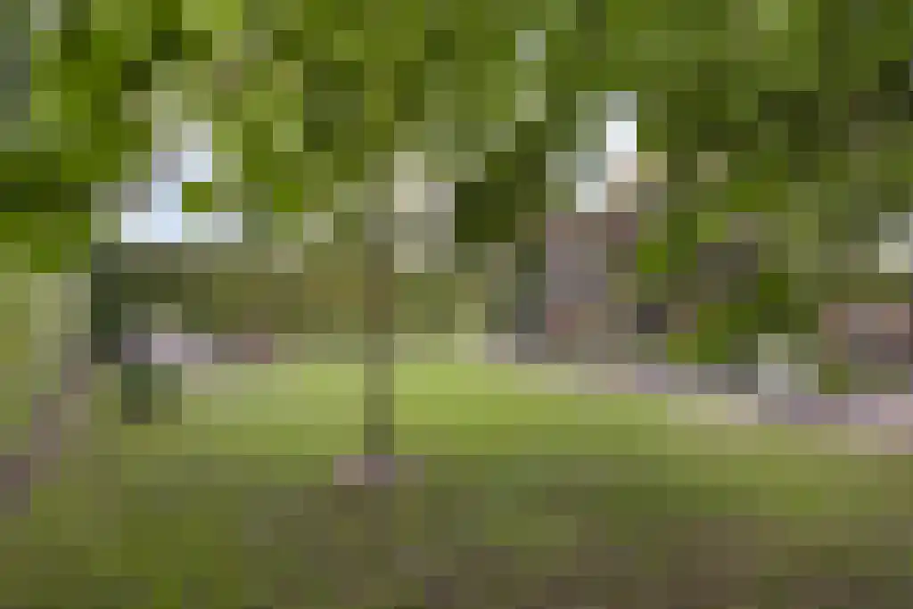 De Bonkelaar 81 Gendt thumbnail 30