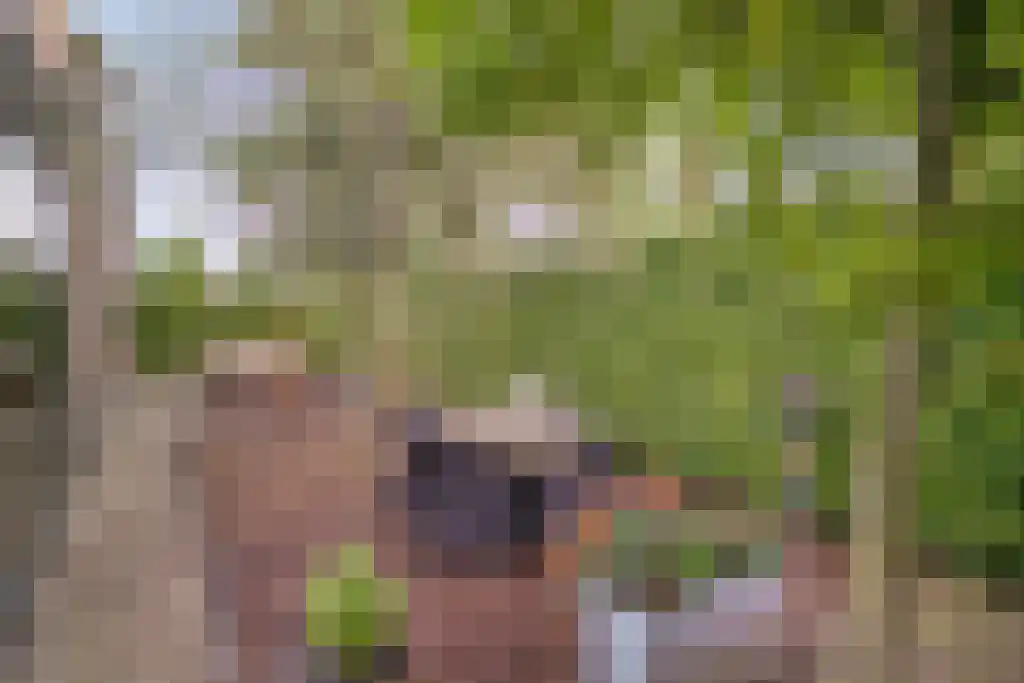 De Bonkelaar 81 Gendt thumbnail 31