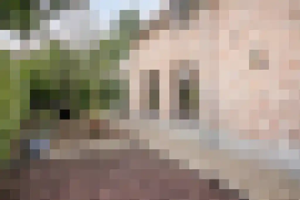 De Bonkelaar 81 Gendt thumbnail 32