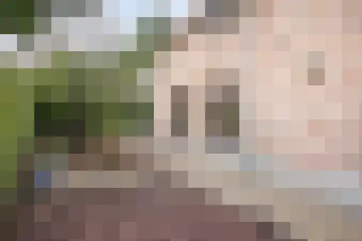 De Bonkelaar 81 Gendt thumbnail 32