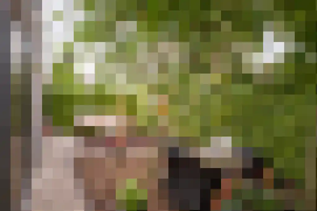 De Bonkelaar 81 Gendt thumbnail 33