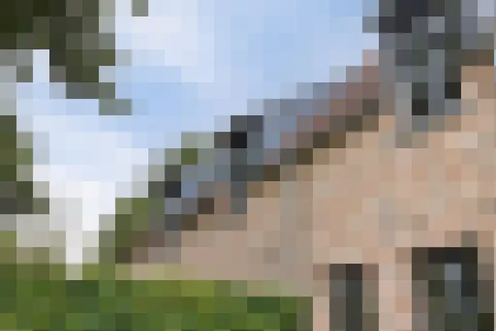 De Bonkelaar 81 Gendt thumbnail 7