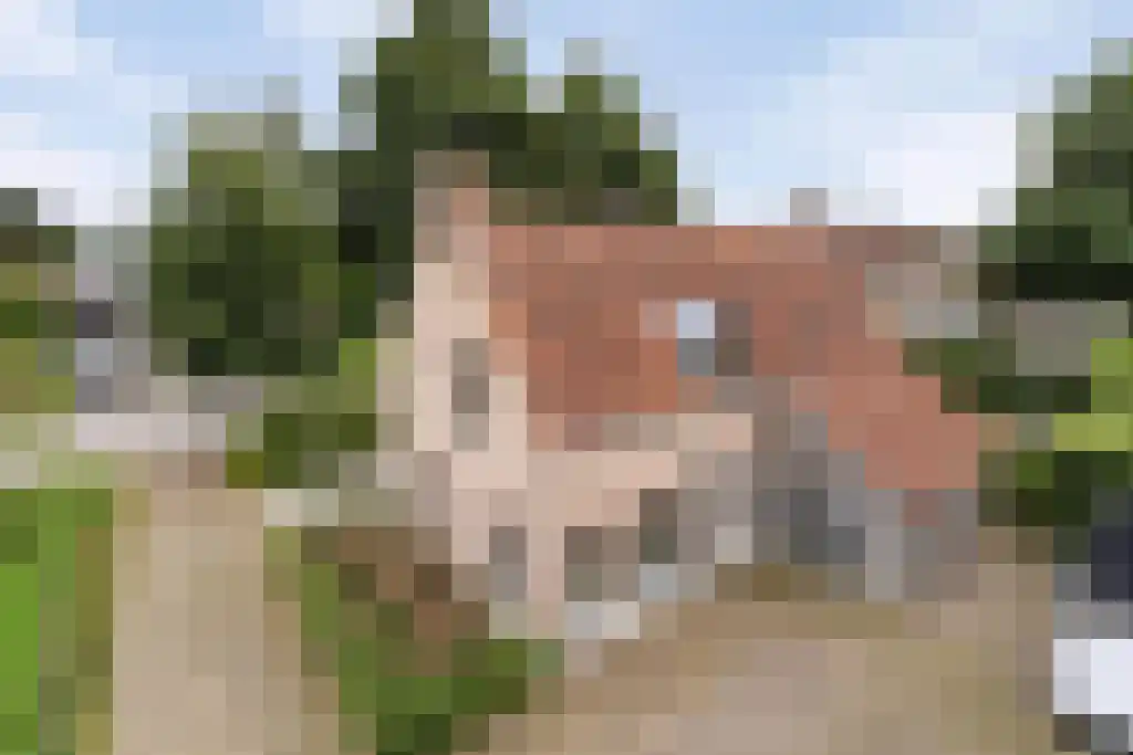 De Bonkelaar 81 Gendt thumbnail 8