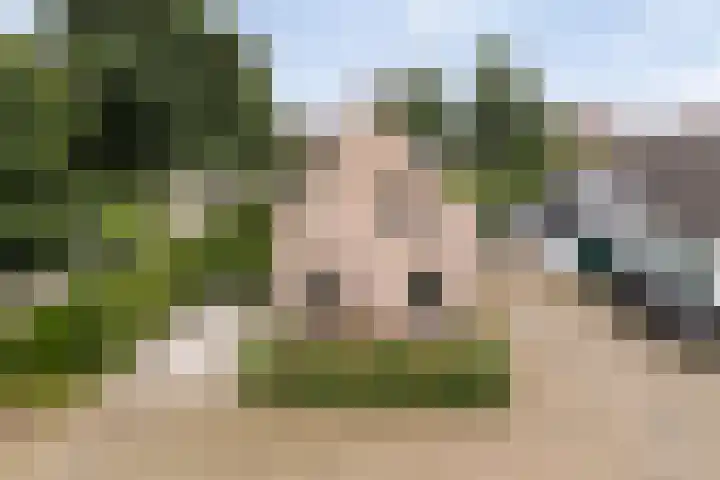 De Bonkelaar 81 Gendt thumbnail 9