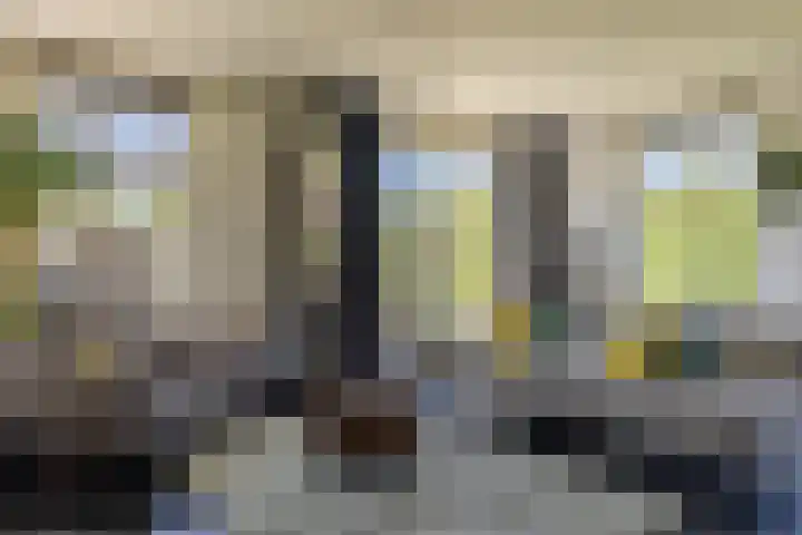 De Bonkelaar 83 Gendt thumbnail 11