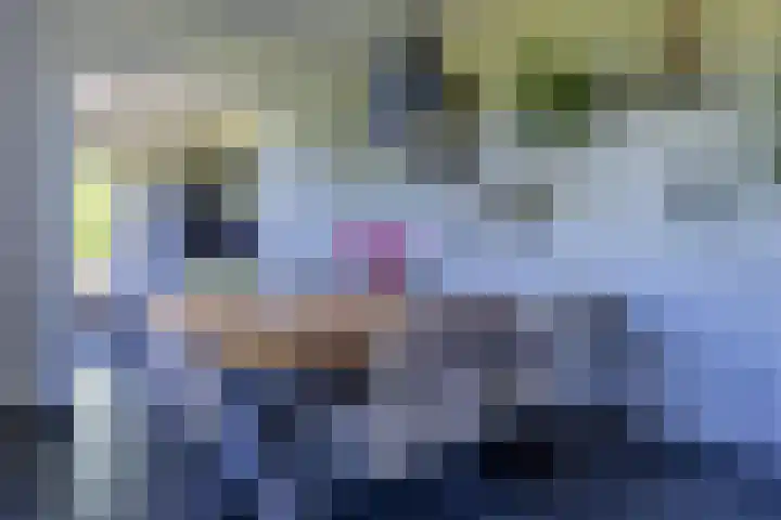 De Bonkelaar 83 Gendt thumbnail 14