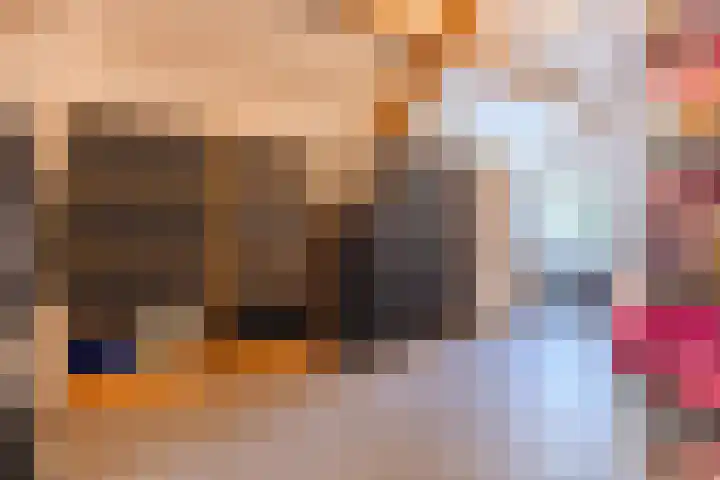 De Bonkelaar 83 Gendt thumbnail 18