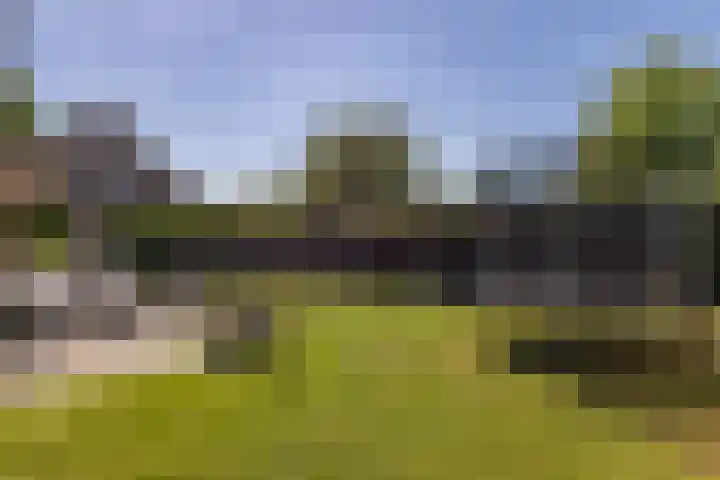 De Bonkelaar 83 Gendt thumbnail 20