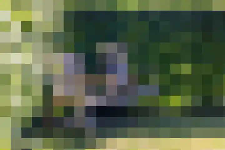 De Bonkelaar 83 Gendt thumbnail 22