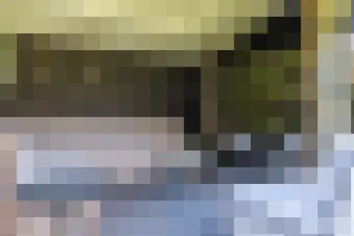 De Bonkelaar 83 Gendt thumbnail 26