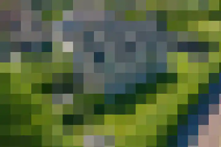 De Bonkelaar 83 Gendt thumbnail 38