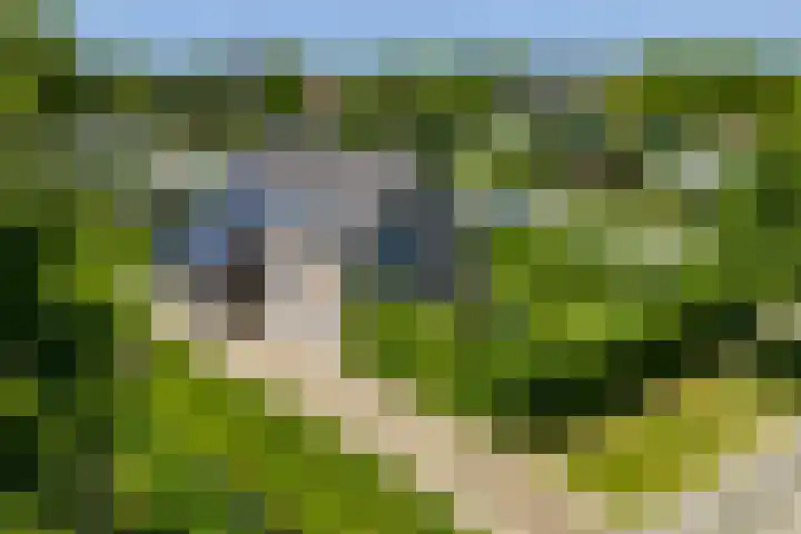 De Bonkelaar 83 Gendt thumbnail 39