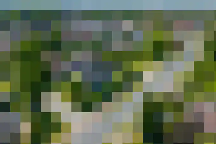 De Bonkelaar 83 Gendt thumbnail 40