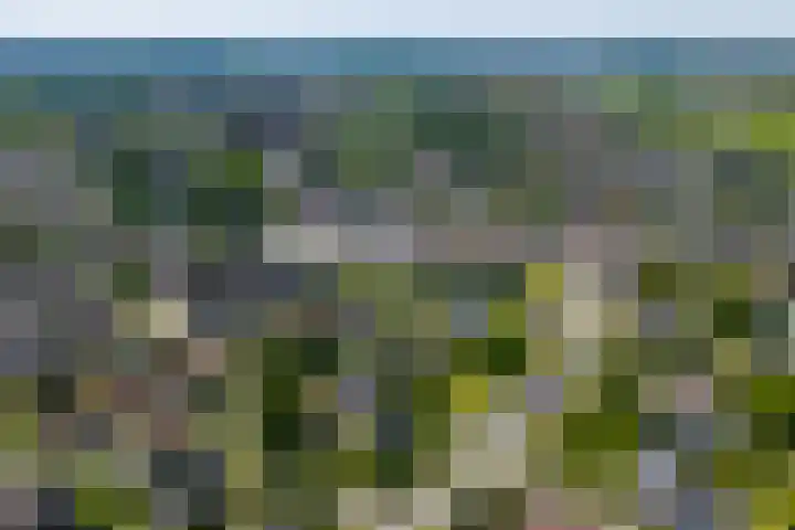 De Bonkelaar 83 Gendt thumbnail 41
